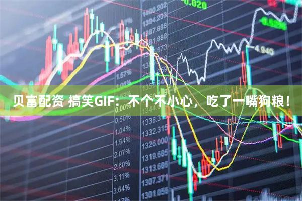 贝富配资 搞笑GIF：不个不小心，吃了一嘴狗粮！