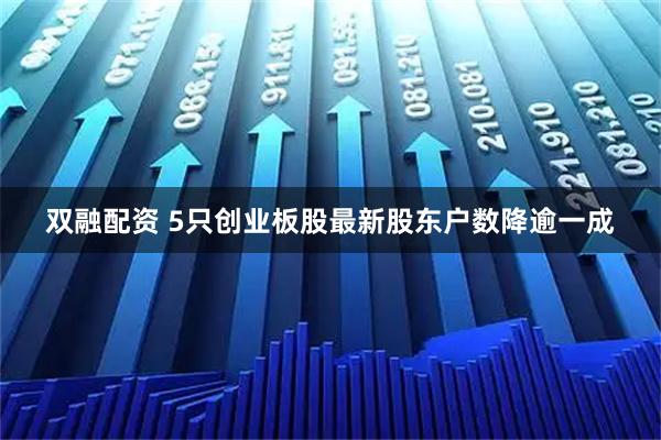 双融配资 5只创业板股最新股东户数降逾一成