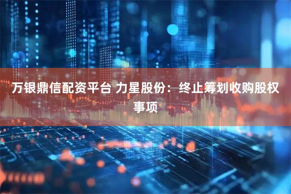 万银鼎信配资平台 力星股份：终止筹划收购股权事项