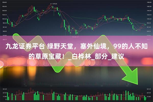 九龙证券平台 绿野天堂，塞外仙境，99的人不知的草原宝藏！_白桦林_部分_建议